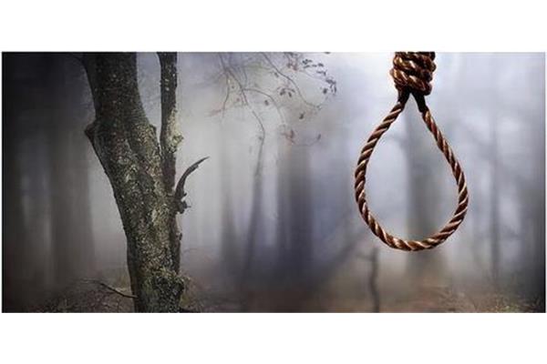 吊死在一棵树上