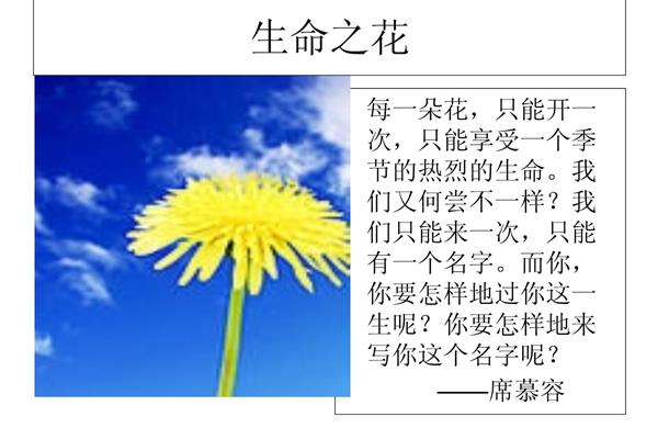热爱生命蒙田