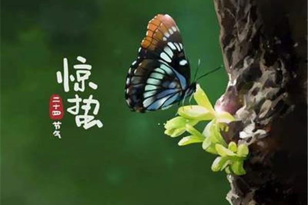 惊蛰是几月几号