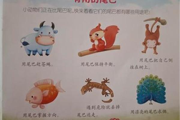 小动物尾巴的作用