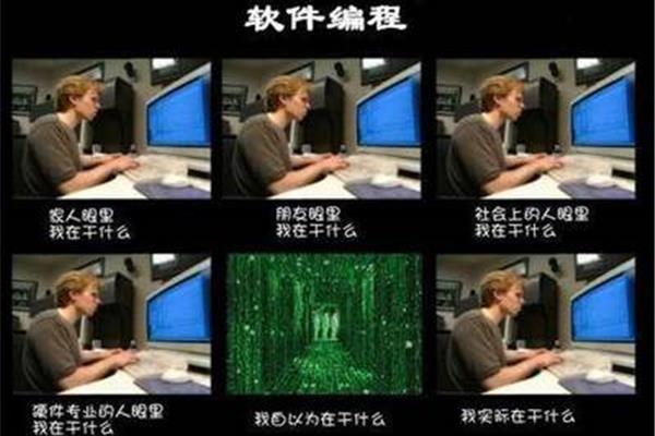 程序员是干什么的
