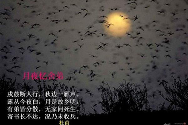秋边一雁声