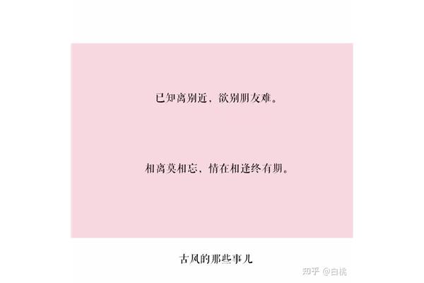 送给朋友的诗句