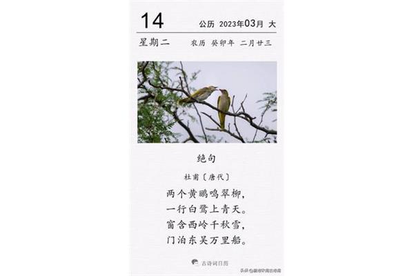 与鸟有关的诗句
