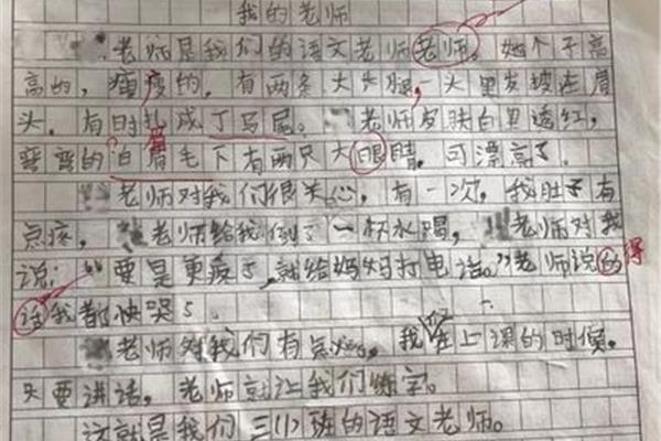 我眼中的老师作文