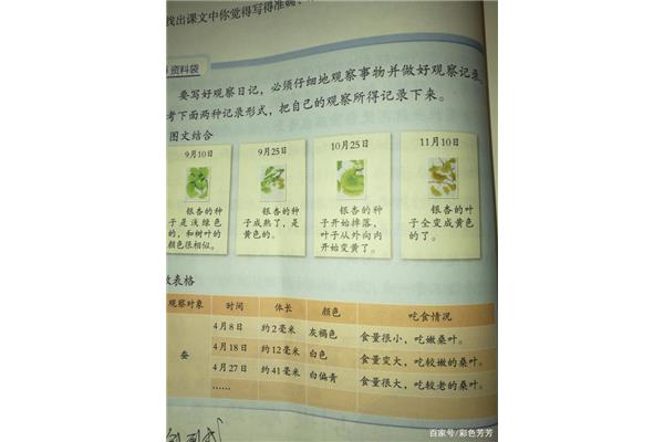 观察日记怎么写