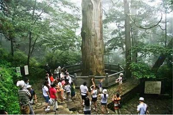 天目山景区