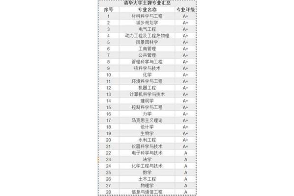 清华大学王牌专业