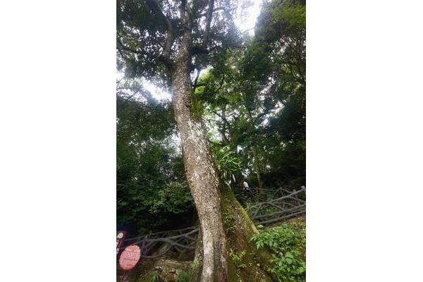 生物多样性的内涵