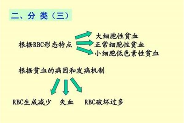 贫血的类型