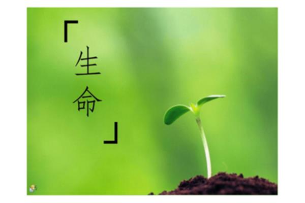 热爱生命蒙田