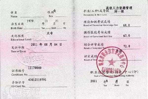 人力资源一级