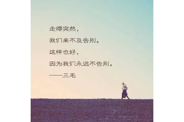 来不及告别