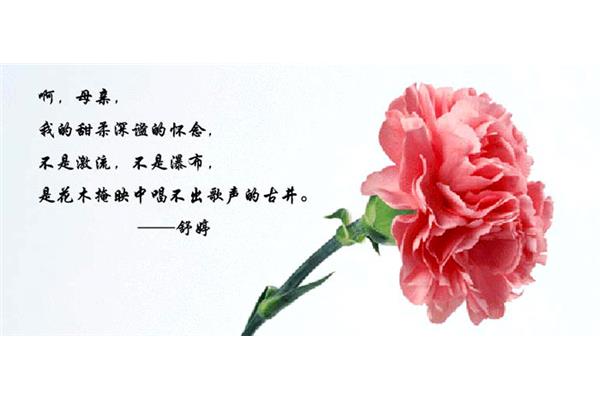 怀念逝去妈妈