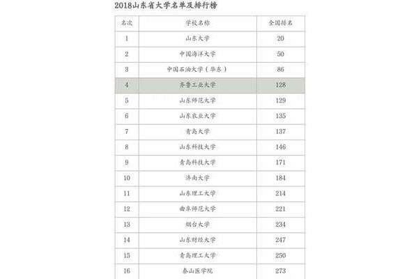 齐鲁工业大学排名
