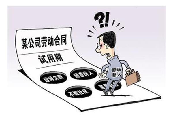 试用期3个月