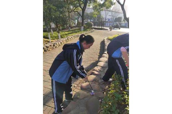 学雷锋活动方案