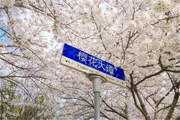 校园春色综合