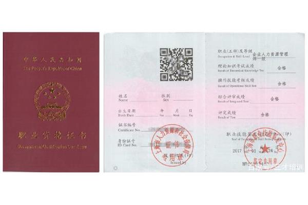人力资源一级
