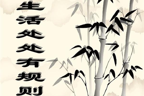 无规矩不成方圆