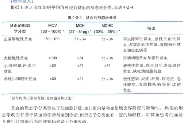 贫血的类型