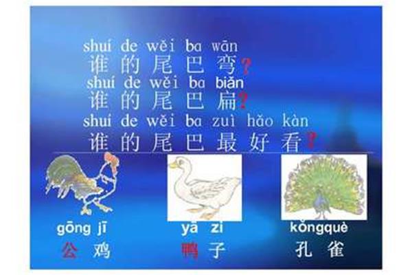 小动物尾巴的作用