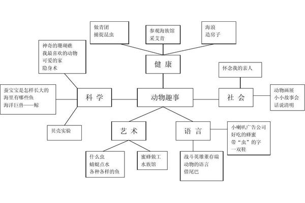 幼儿园主题网络图