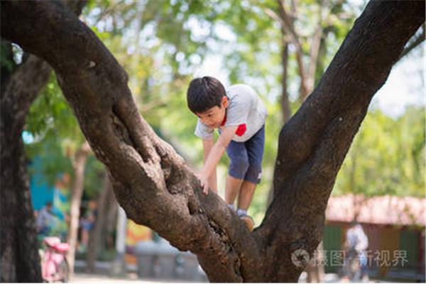 吊死在一棵树上