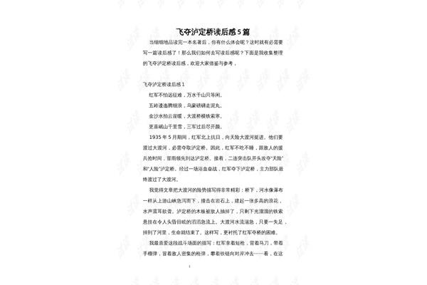 飞夺泸定桥读后感