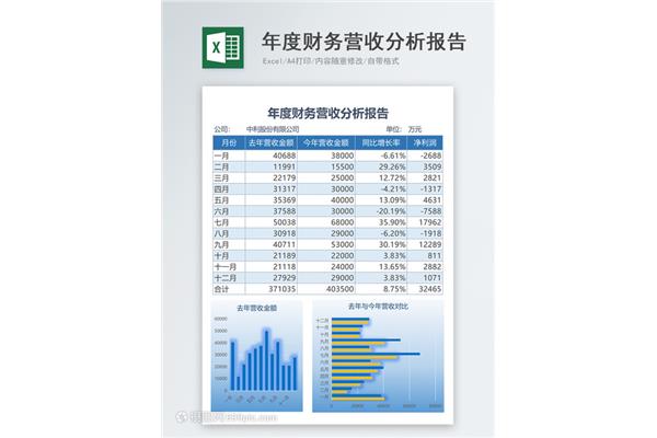 财务分析报告模板