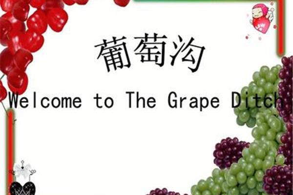 葡萄的英语怎么说