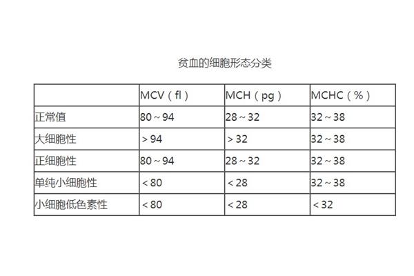 贫血的类型