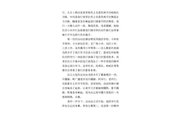 运动会小练笔
