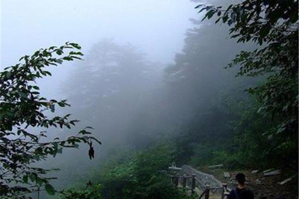 峨眉山游记