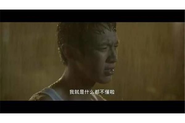 那些年错过的大雨
