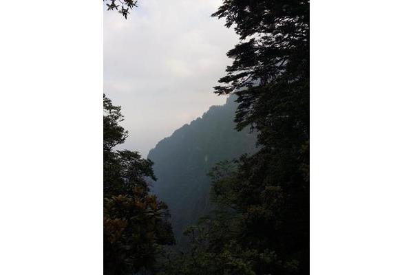 峨眉山游记