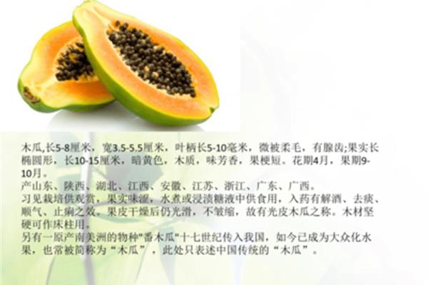 木瓜恰恰恰歌曲