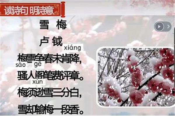 雪梅的古诗