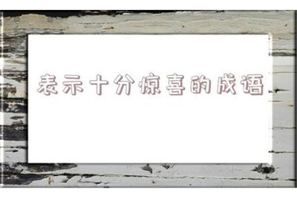形容惊喜的成语