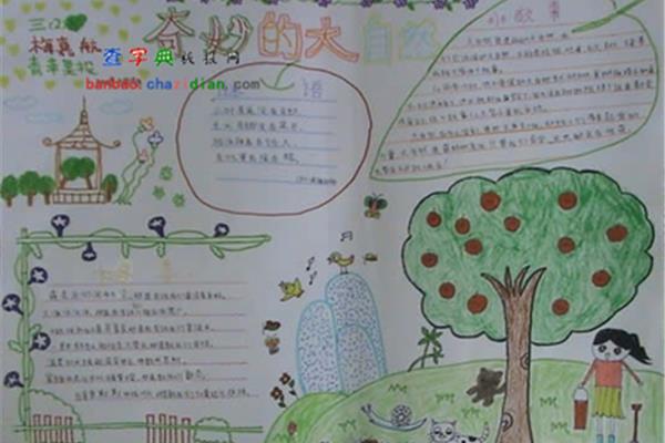 神奇的数学手抄报
