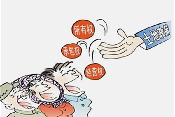 集体所有权