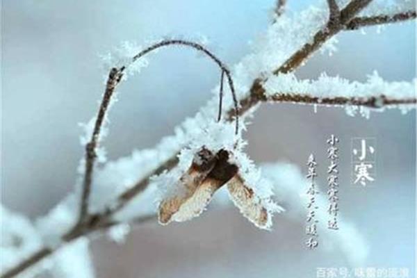 什么寒什么冻