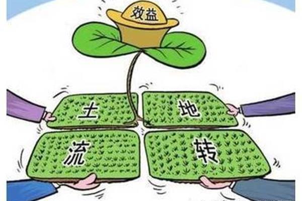 村民自治法