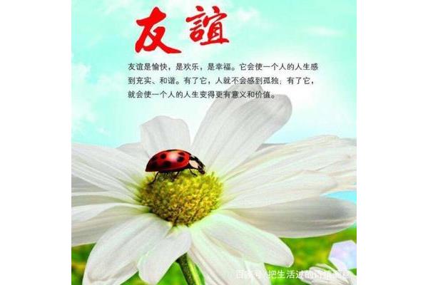 友谊如什么