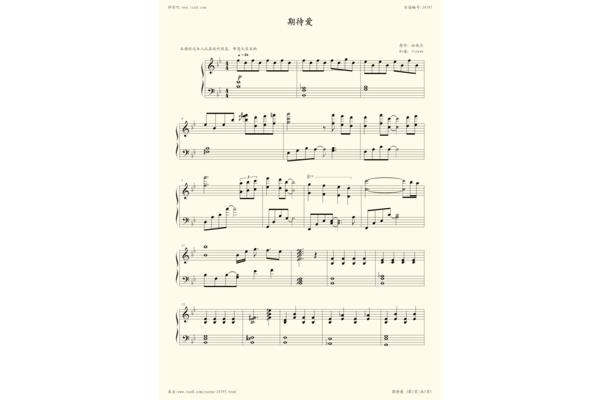 期待爱歌词