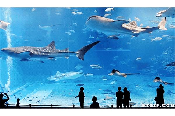 未来海底世界