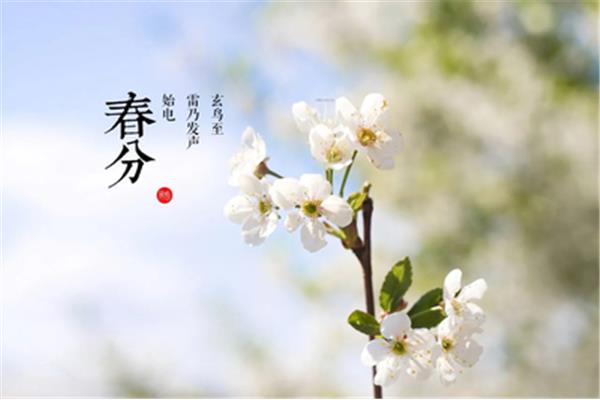 春分的诗句