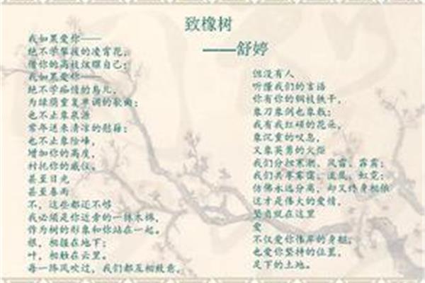 朦胧诗代表作品