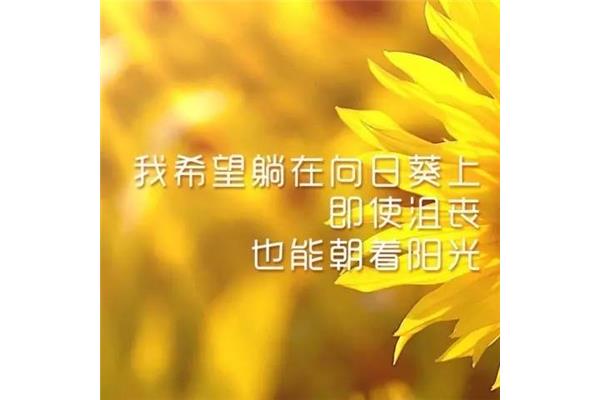 正能量图片