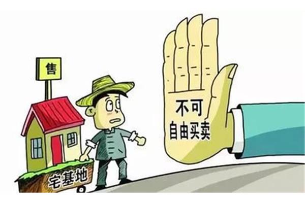 集体所有权